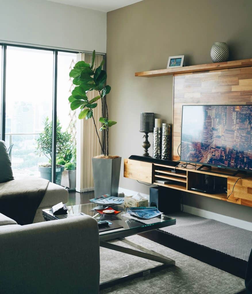 Modern living room interior with minimalist design, featuring a flat-screen TV, decorative vases, potted plants, and a cozy sofa, perfect for stylish and affordable home decorating.